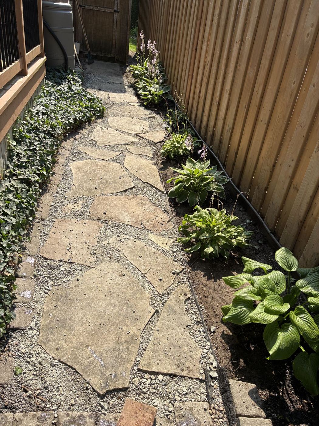 Finished flagstone side-yard walkway bordered by hostas along a wood fence